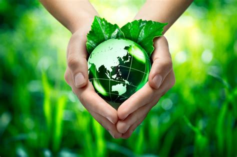 Nel mondo si affrontano molteplici sfide che minacciano ogni giorno la sicurezza, lo sviluppo e l'armonia. Oggi è la Giornata Mondiale dell'Ambiente 2020: i cibi che ...