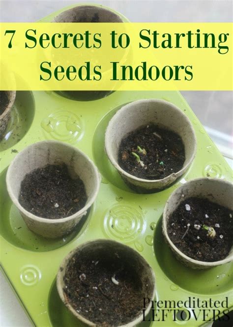 To start flower gardening, one of the first things that a person will want to do is determine the location. 7 Secrets to Starting Seeds Indoors