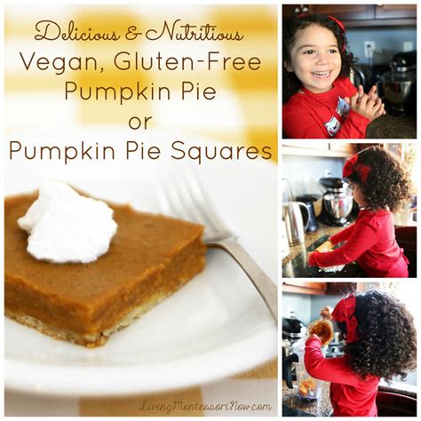 Delicious And Nutritious Vegan Gluten Free Pumpkin Pie Or Pumpkin Pie