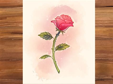 How To Draw A Rose Roses Are Often Referred To As The Symbol Of