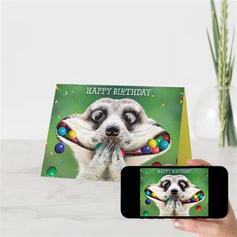 Funny Birthday Card Meerkat Zazzle