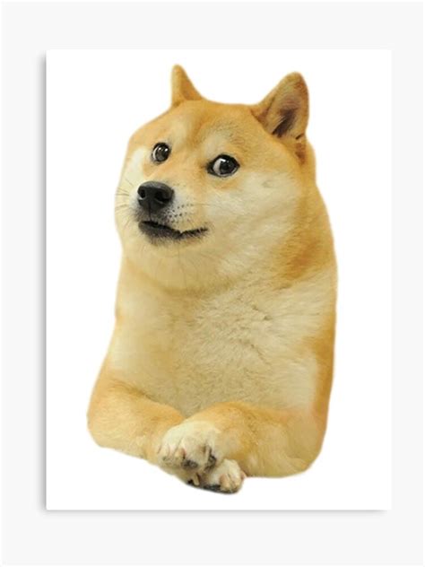 Doge Roblox Dog Birthday Doge Roblox Birthday Meme On Meme Getrobux
