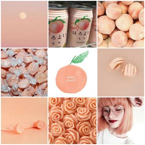Moodboards And Aesthetics — Peach Requested By Minipeach101 Youre A