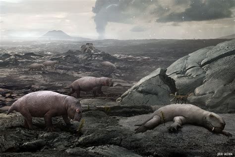 The Five Mass Extinctions Ranked By Severity Dinosaurs Forum