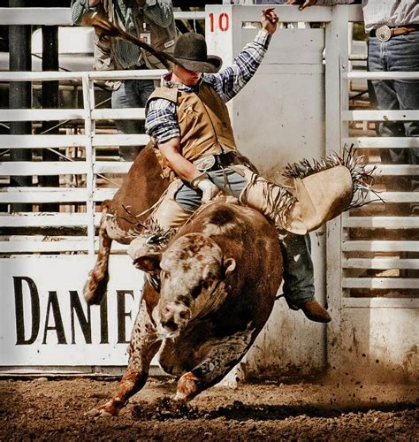 What Being A Competitive Bull Rider Taught Me About Lifes Bullshit