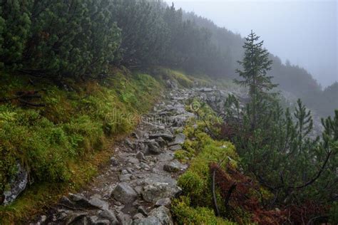 Tourist Hiking Trail In Foggy Misty Day With Rain Stock Photo Image