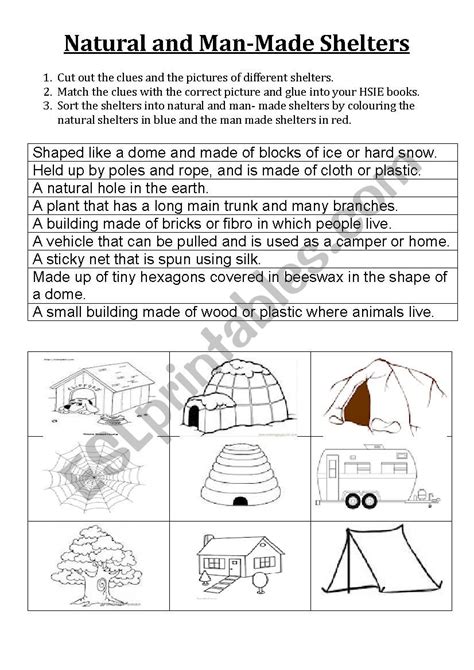 Shelter Worksheet Second Grade