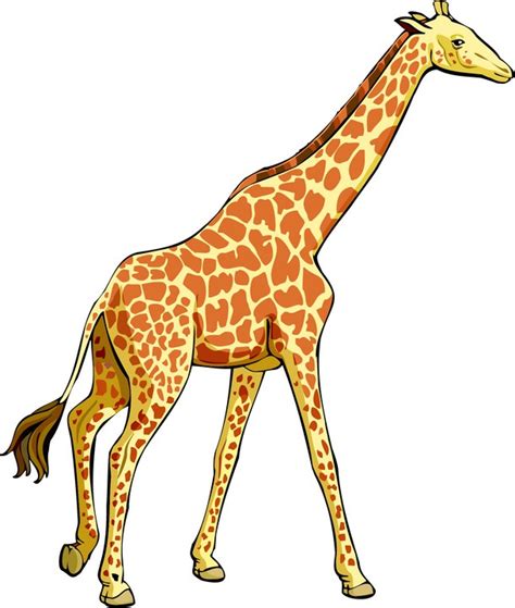 50 Giraf Clip Art Giraffe Cartoon Head Clipart Face Clip Lol Animated