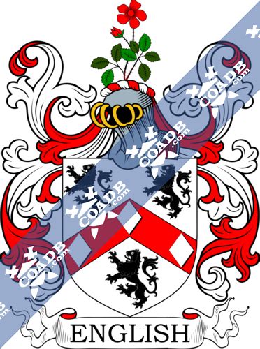 English Family Crest, Coat of Arms and Name History