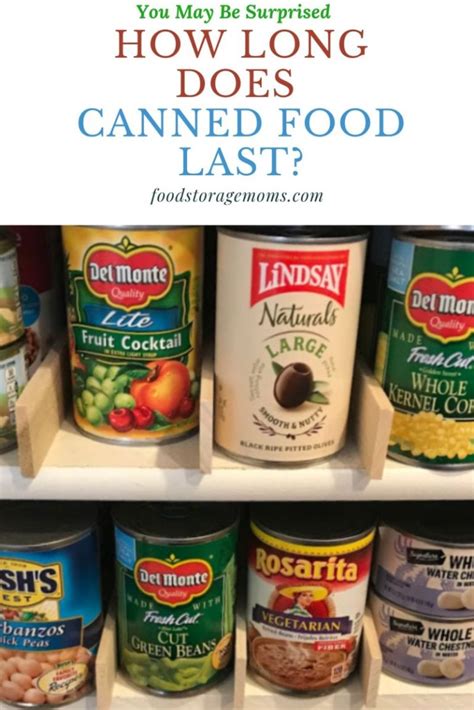 How Long Does Canned Food Last Kitovet