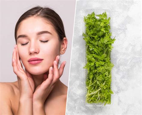 This Guide Will Help You Use Dhaniya Or Coriander Leaves For Skin This