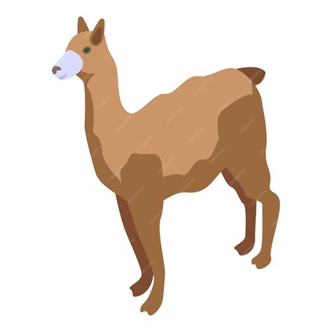 Lama Icono Vector Isométrico Alpaca Animal Perú Bebé Vector Premium