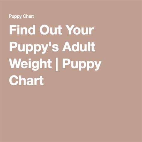 Dog Bun Level Chart