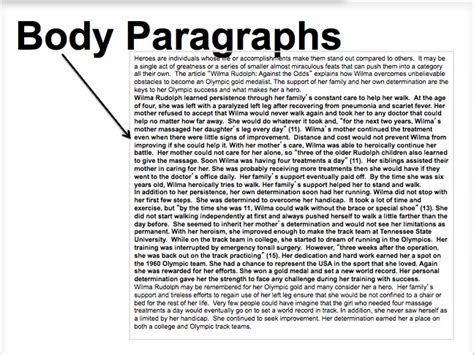 The Essay Body Paragraphs