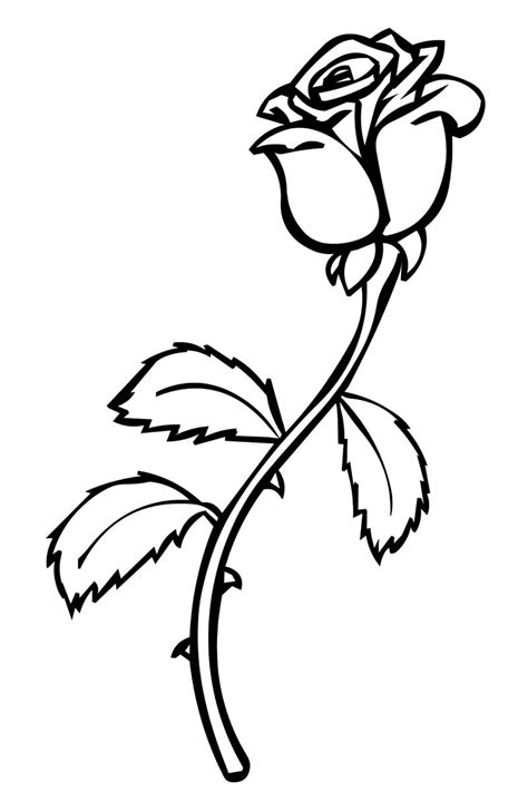 Print rose coloring pages for free and color our rose coloring! Roses coloring pages to download and print for free