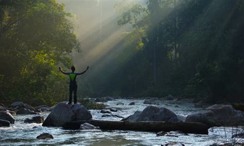 It is an area south of the state of pahang and to the northeast of johor covering an approximate area of 870 km². The Vibes | Malaysia | Endau Rompin National Park ...