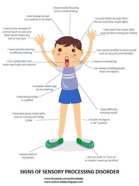 Signs Of Sensory Processing Disorder Infographic Sensory Issues