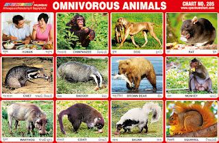 Spectrum Educational Charts: Chart 285 - Omnivorous Animals