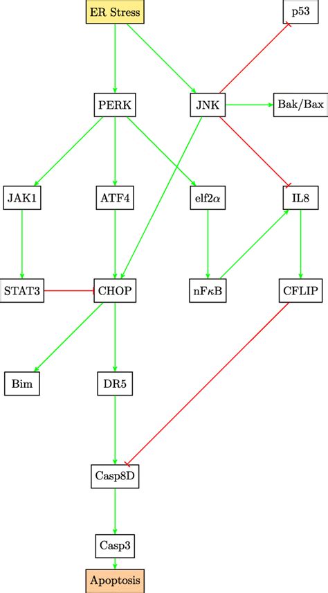 Endoplasmic Reticulum Stress And The Jnk Pathway Download High