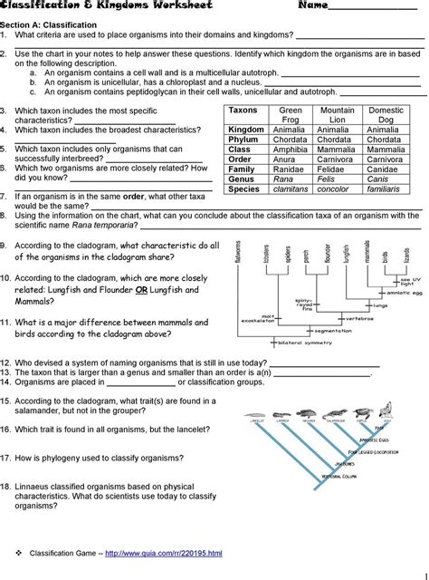 This is the stalk of the flower. Kingdom Classification Worksheet Answers — db-excel.com