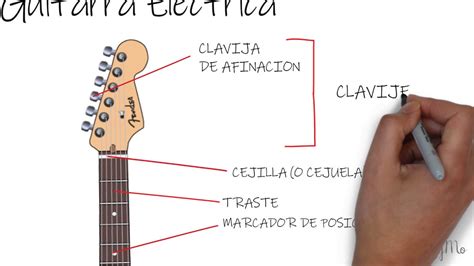 Partes De La Guitarra🎸 Te Sabes Todas Las Partes De La Guitarra Youtube