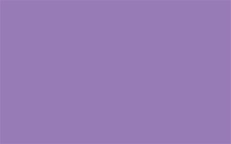 2560x1600 Lavender Purple Solid Color Background