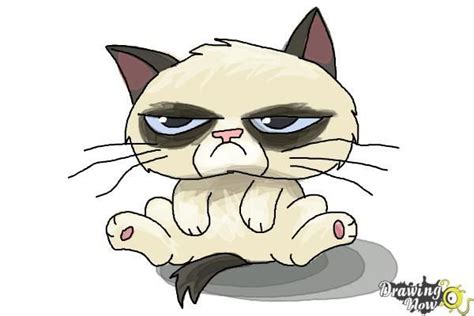 How To Draw Chibi Grumpy Cat Step 9 Cartoon Cat Drawing Cat