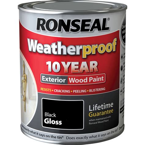 Ronseal Weatherproof 10 Year Exterior Gloss Wood Paint Smooth Gloss
