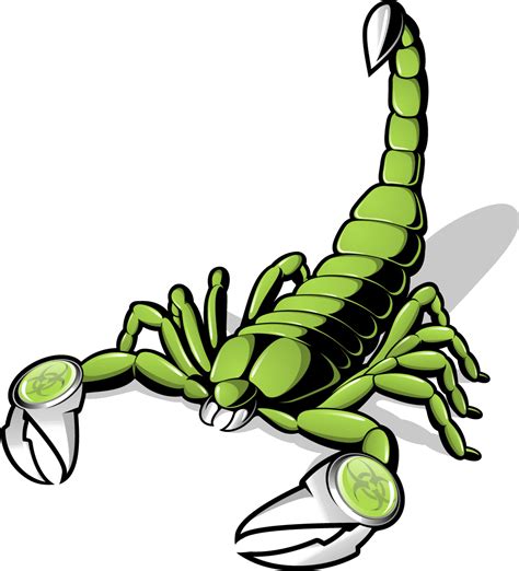 Scorpion Euclidean Vector Clip Art Scorpions Png Download 10811191