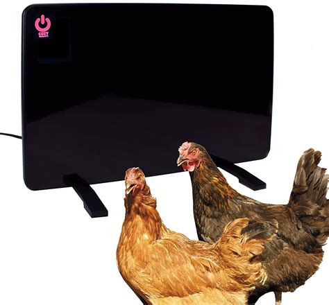 Ultimate Chicken Supplies List: Your Chick and Chicken Raising Kit