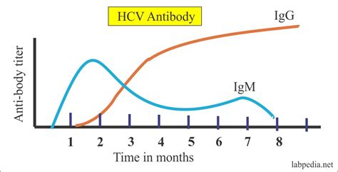 Hepatitis C Virus Part 1 Hepatitis C Virus Hcv Profile