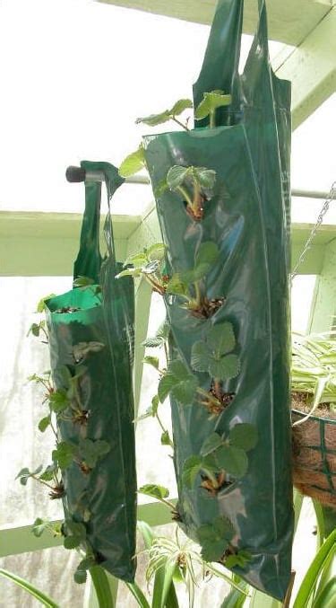 Diy Hanging Grow Bags For Your Plants Popsugar Home