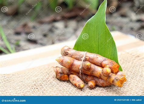 Raw Turmeric Stock With Leaf Stock Photo Image Of Cookery Exotic