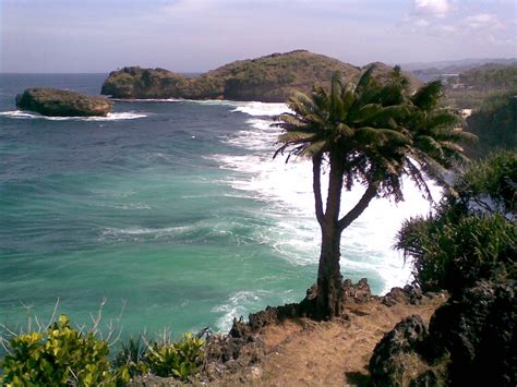 Namun, sekarang cara masak ayam betutu sudah nggak sekonvensional dulu, urbaners. Gambar Gambar Pantai DI Pacitan,Jawa Timur | Hadindonesia