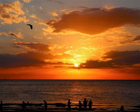 Best Sunset Quotes And Sunset Photos With Video From Around Florida