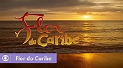 Confira a audiência de estreia da novela "Flor do Caribe" - Bastidores ...