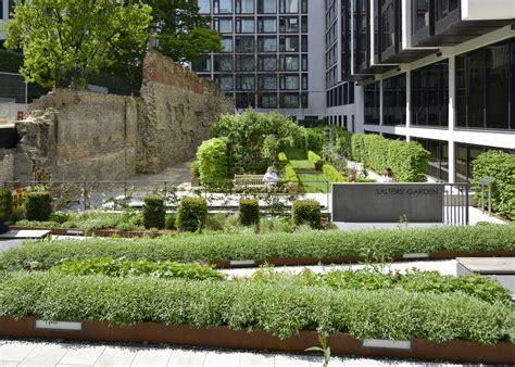 Gallery - The Salters' Company