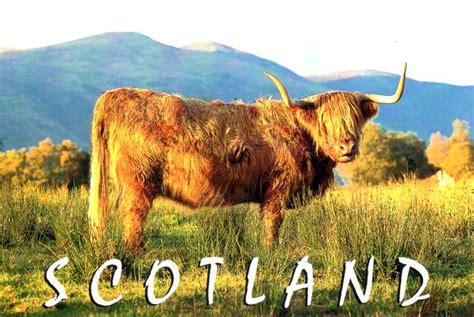 A Postcard From Edinburgh Scotland Postcard Number 888 2013 10