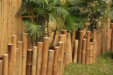 This fence uses wood and chicken wire in a casual elegant way to separate the garden from the rest of the yard, and adds a focal point with an inviting. 75 Fence Designs and Ideas (BACKYARD & FRONT YARD)