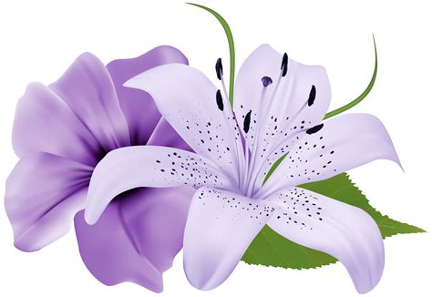 Purple Clipart Flowers 20 Free Cliparts Download Images