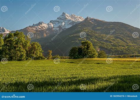 Beautiful Scenery Of Dents Du Midi Mountains Surrounded By Greenery In