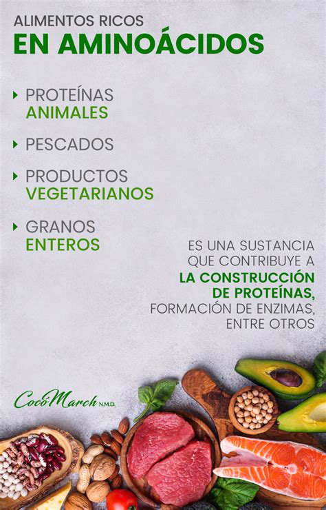 Los aminoácidos ramificados o bcaa. Alimentos Ricos En Aminoácidos Esenciales | Coco March