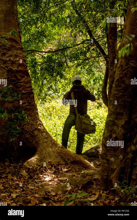 Photographer Taking Photos In The Woods Stock Photo Alamy