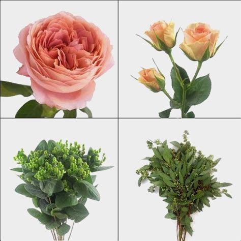Garden Rose Diy Flower Pack Wholesale Blooms By The Box