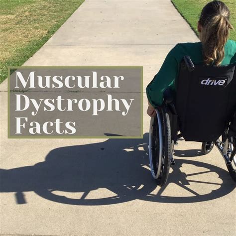 What Is Muscular Dystrophy Facts And Statistics Healthproadvice