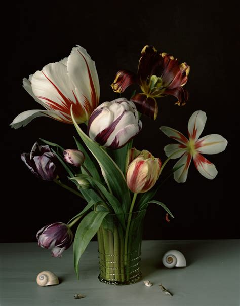 1606 1907 — Sharon Core Dutch Still Life Still Life Art Floral