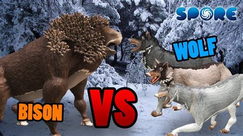 Bison Vs Gray Wolf Animal Fight Club S2e10 Spore Youtube