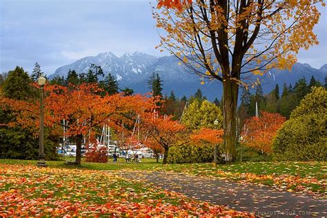 Photo Today In Vancouver When Autumn Leaves Start To Fall Flickr