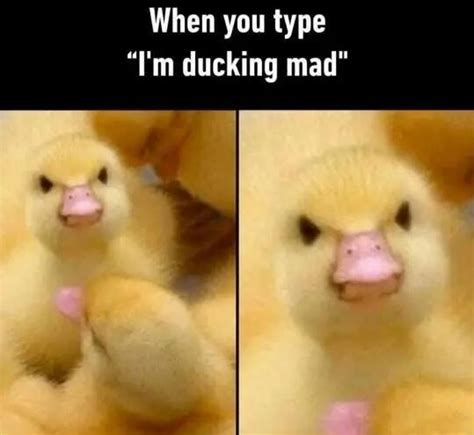 When You Type Im Ducking Mad Meme