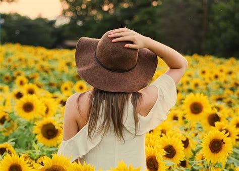 8 Sunflower Field Photoshoot Ideas You Must Try
